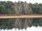 Bergvennen